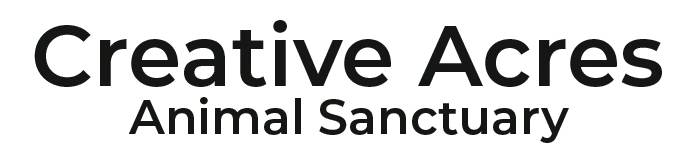 Creative Acres Animal Sanctuary